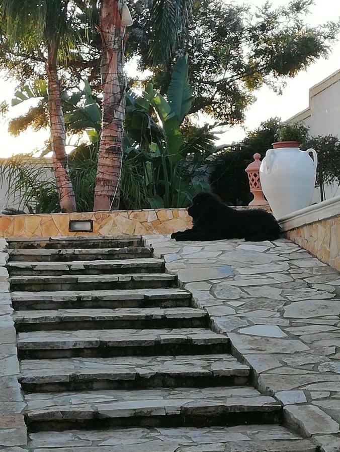 B&B Cesaranum كازارانو المظهر الخارجي الصورة